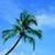 Bilder Thai Sauna Florida