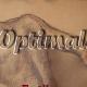 Girls, Clubs, Bars, Escort Studio Optimal