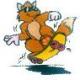 Bilder Fuchs34