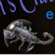 Girls, Clubs, Bars, Escort Scorpion's Club Libertin