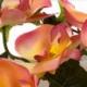 Bild Sabai Massage